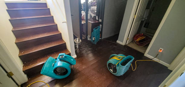 Best Professional water damage repair  in Pennville, PA