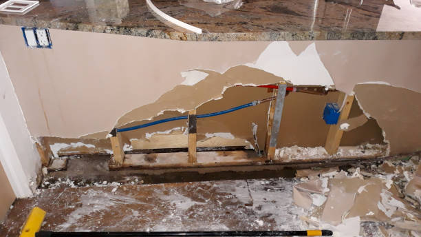 Best Flooded house restoration  in Pennville, PA