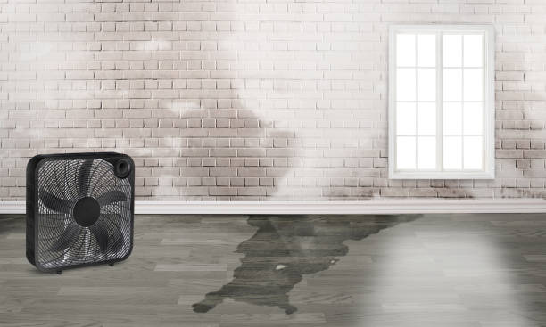 Best Ceiling water damage repair  in Pennville, PA