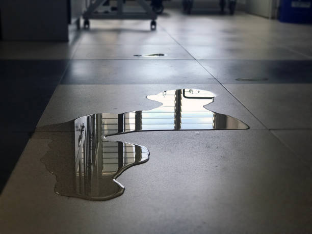 Best Water damage cleanup near me  in Pennville, PA