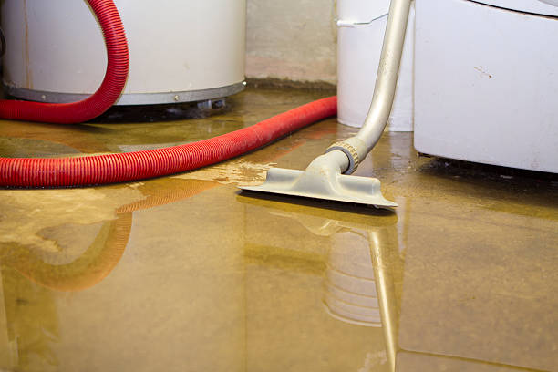 Best Mold removal after water damage  in Pennville, PA
