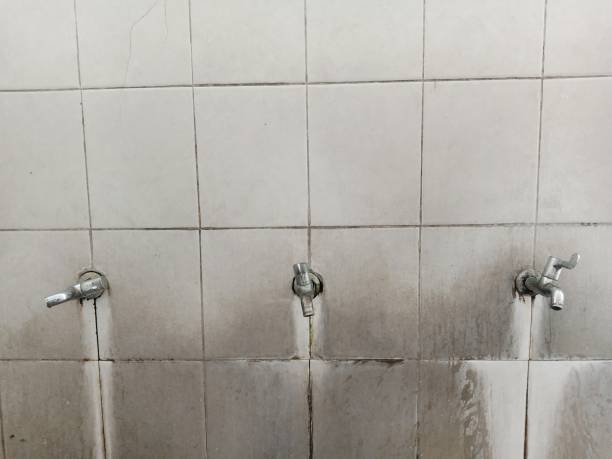 Best Carpet water damage restoration  in Pennville, PA